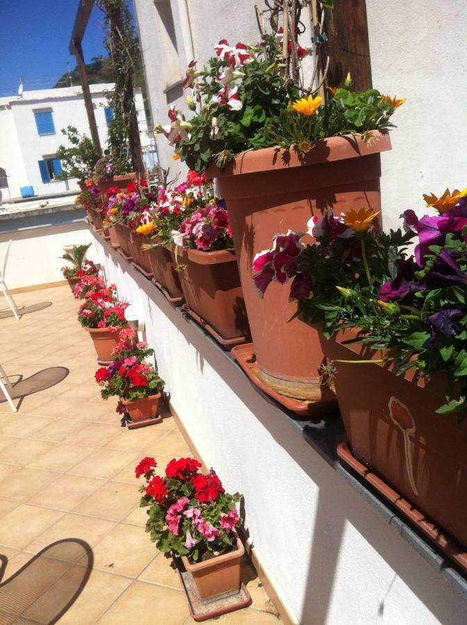 B&B Celestina Ischia Lacco Ameno  Extérieur photo