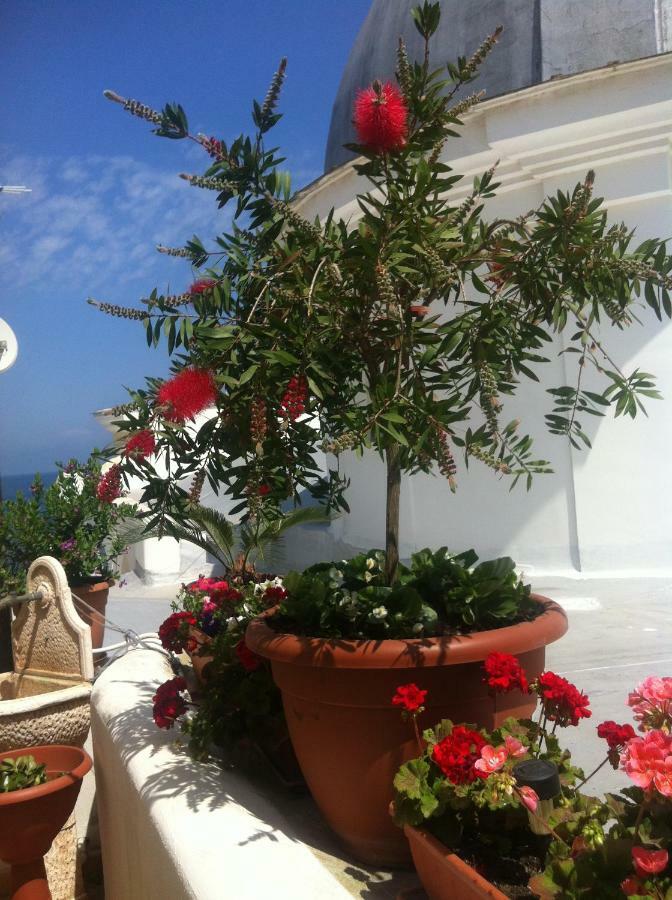 B&B Celestina Ischia Lacco Ameno  Extérieur photo